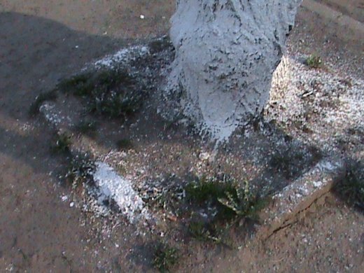 Спецоперація «облагородження міста» по-луцьки!