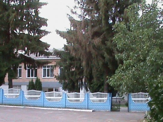 «Хрестовий похід» по «зниклим» дитсадкам міста! Маразм та самоуправство міської влади Луцька!  Частина 2.