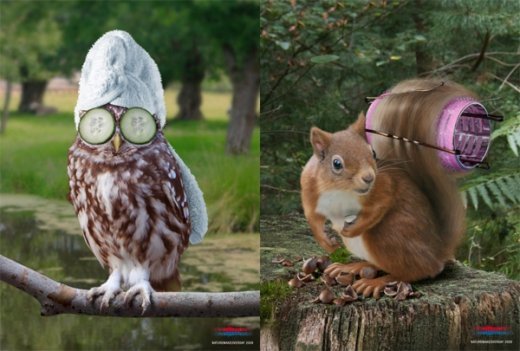 Природа не потребує косметики і прикрас. Вона потребує чистоти