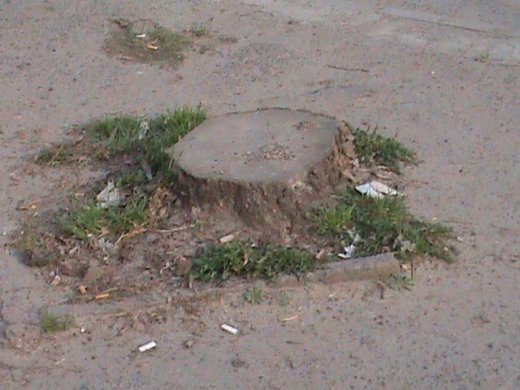 Спецоперація «облагородження міста» по-луцьки!