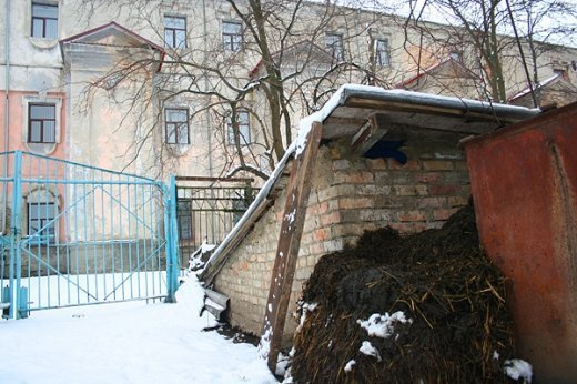 Лайно і ризаліти