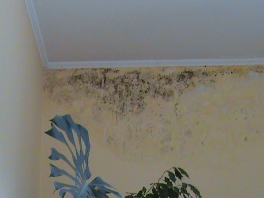 «Хрестовий похід» по «зниклим» дитсадкам міста! Маразм та самоуправство міської влади Луцька!  Частина 2.