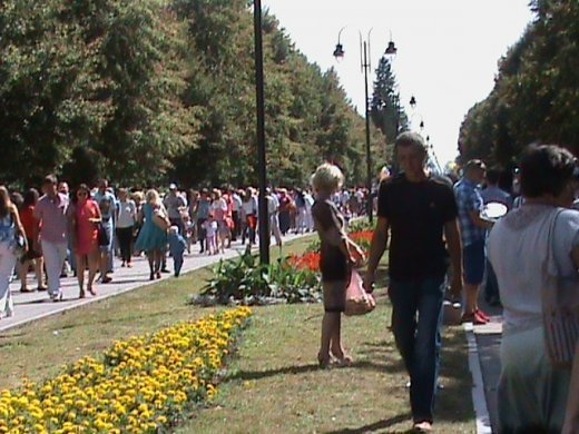 Колгоспна культура по-луцьки!