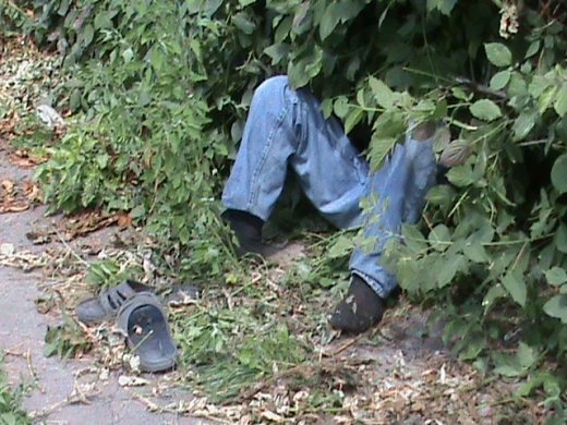 В Луцьку алкогольний мор?