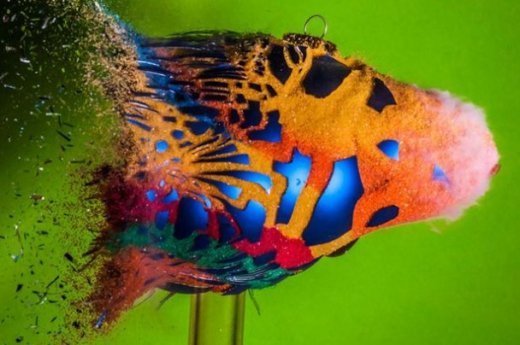 Стоп-кадр: як куля розриває їжу