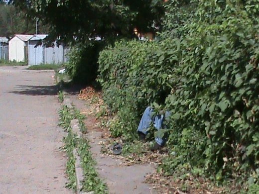 В Луцьку алкогольний мор?