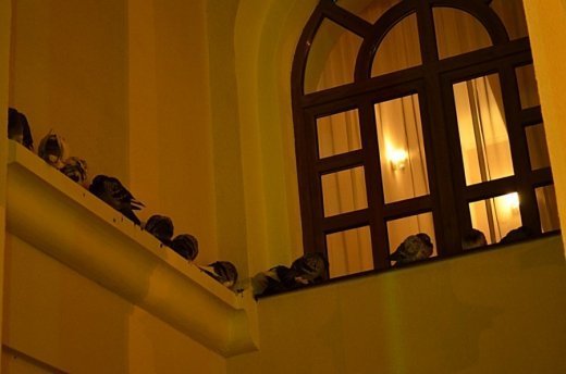 Луцький вокзал уночі. ФОТО