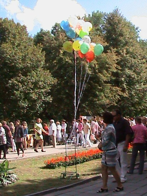 Колгоспна культура по-луцьки!