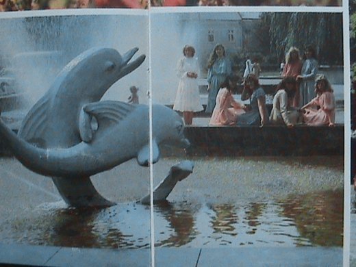 «Євроінтеграційні» промоції сучасного Луцька! 