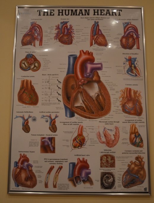 Де і як в Луцьку роблять операції на серце. ФОТО. ВІДЕО