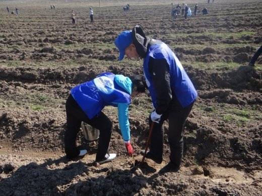 Молоді регіони: «Майбутнє лісу в твоїх руках»