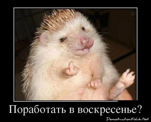 Обережно:епідемія агресії!!!