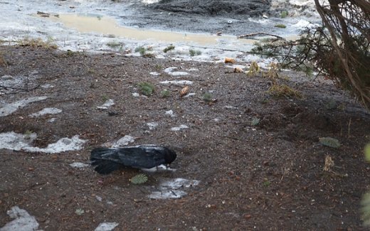 Знайшли труп на Театральному