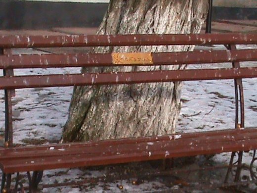 Про липовий благоустрій і порядок міста та про вдавану «любов» мера-гумориста! 