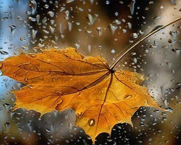 Легкий флірт природи…