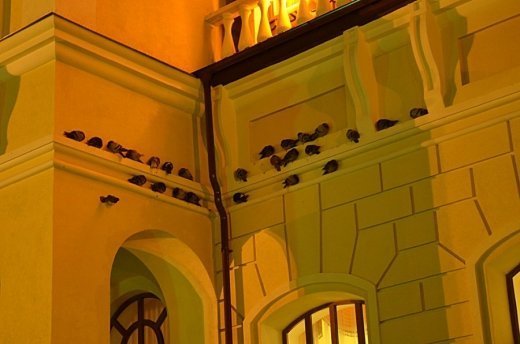 Луцький вокзал уночі. ФОТО