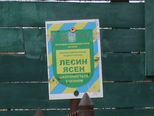 Екзклюзивна екскурсія «Королівством кривих дзеркал» древнього Лучеська!