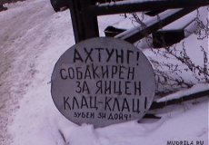 Обережно:епідемія агресії!!!