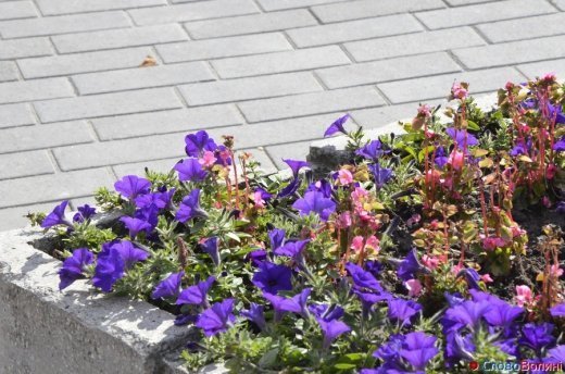 Фото осіннього додощового Луцька