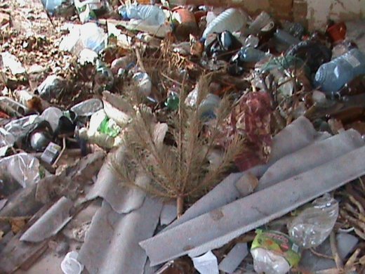 Екзклюзивна екскурсія «Королівством кривих дзеркал» древнього Лучеська!