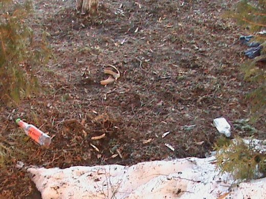 Притон свавілля у скверику,напроти ЛРДА ВО!