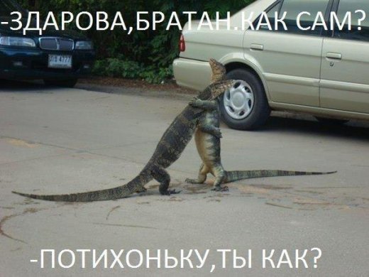 Обережно:епідемія агресії!!!