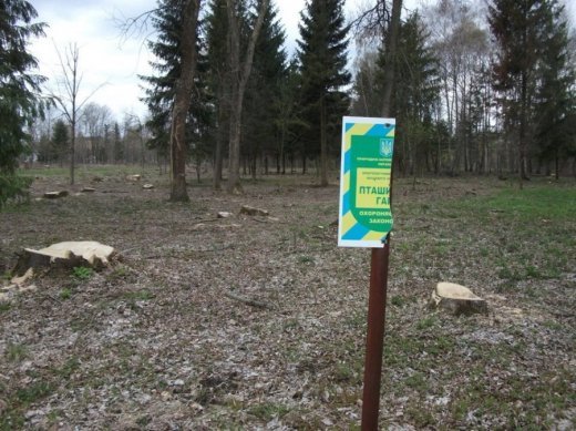 Ілюстрація становища