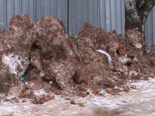 Про липовий благоустрій і порядок міста та про вдавану «любов» мера-гумориста! 