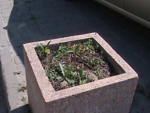 «Євроінтеграційні» промоції сучасного Луцька! 