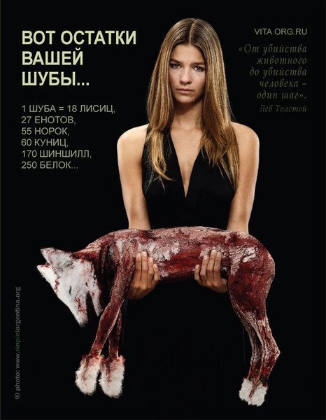 Тим, хто мріє про шубу