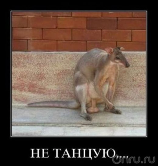 Обережно:епідемія агресії!!!