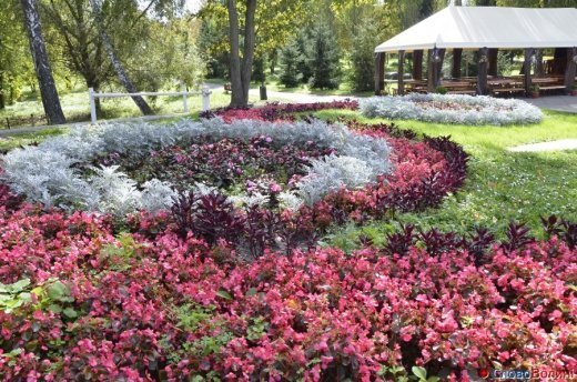 Фото осіннього додощового Луцька