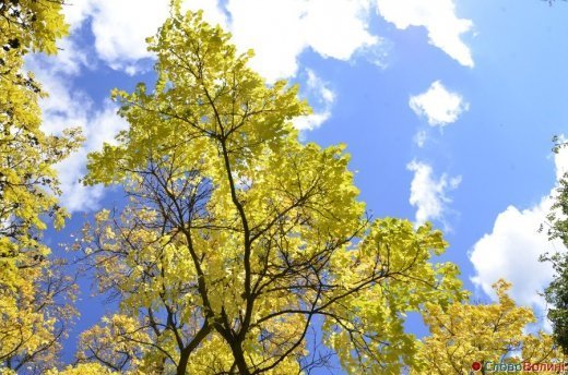 Фото осіннього додощового Луцька