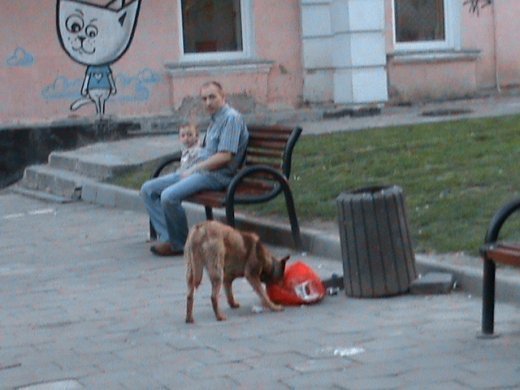 «Євроінтеграційні» промоції сучасного Луцька! 