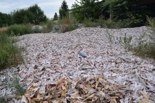 І ще раз про таємничі ракетні шахти на Волині. ФОТО