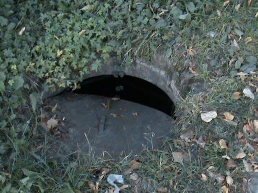 Про липовий благоустрій і порядок міста та про вдавану «любов» мера-гумориста! 