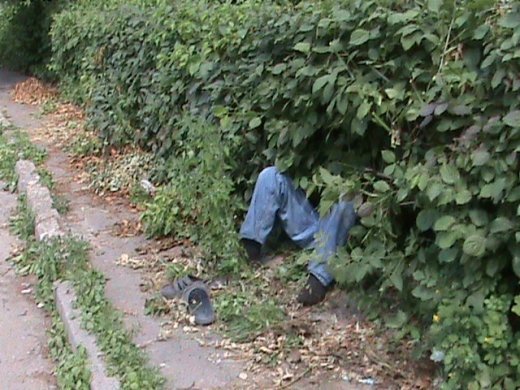 В Луцьку алкогольний мор?