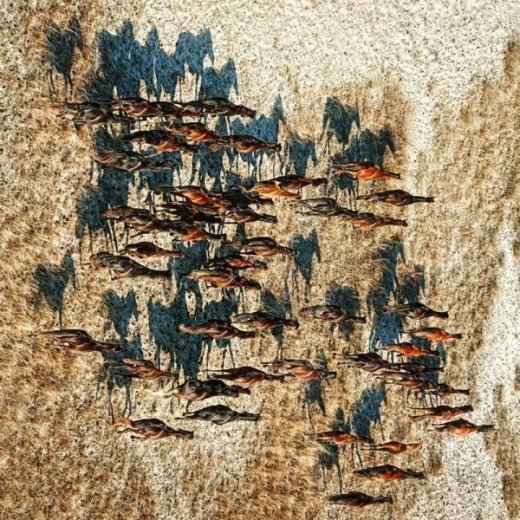 Україна, яку видно з неба