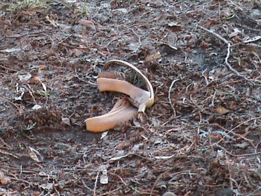 Притон свавілля у скверику,напроти ЛРДА ВО!