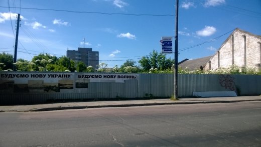 Небезпечна рослина Борщівник квітне в центрі Луцька