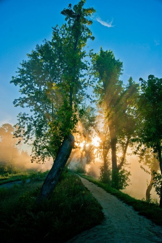Звичайний ранок у самому чарівному парку.