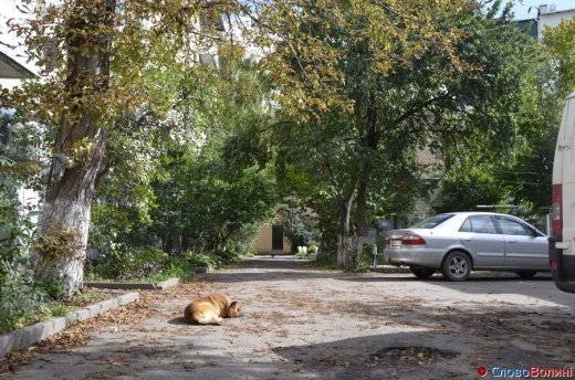 Фото осіннього додощового Луцька