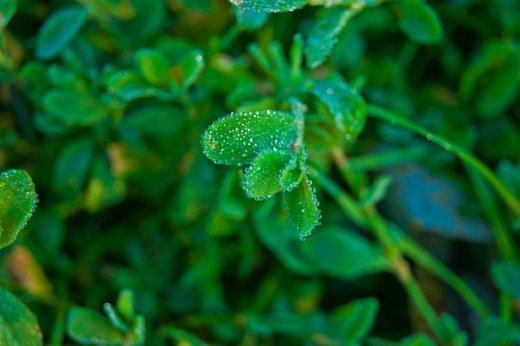 Звичайний ранок у самому чарівному парку.
