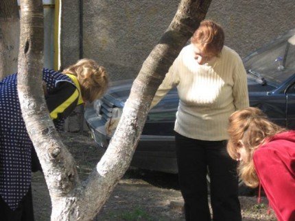 Добрі справи руками «Молодих регіонів»