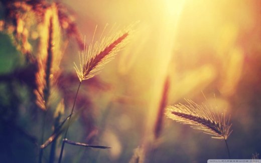 20 літніх шпалер для робочого столу