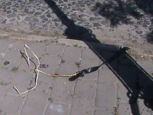 «Євроінтеграційні» промоції сучасного Луцька! 