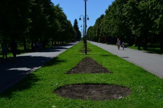 У Луцьку облаштовують квіткові алеї