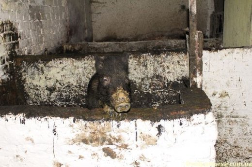 Збережемо древній Луцьк!