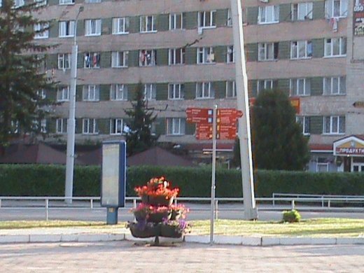 «Євроінтеграційні» промоції сучасного Луцька! 