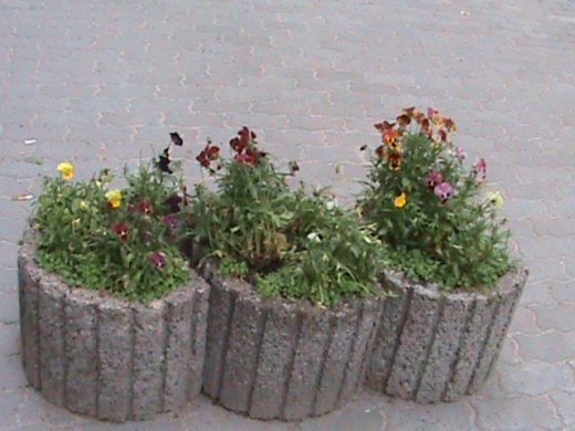 «Євроінтеграційні» промоції сучасного Луцька! 